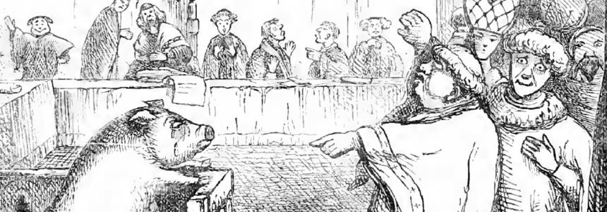 Murderous Pigs and Ex-Communicated Rats: Edward Payson Evans’ Handbook of Animal&nbsp;Trials