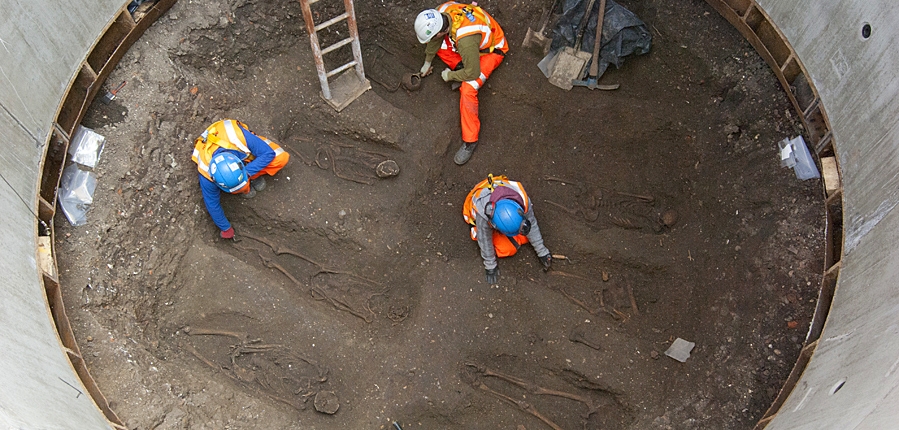 The Osteological Paradox and Biomolecular Analysis – A Solution, At Last?