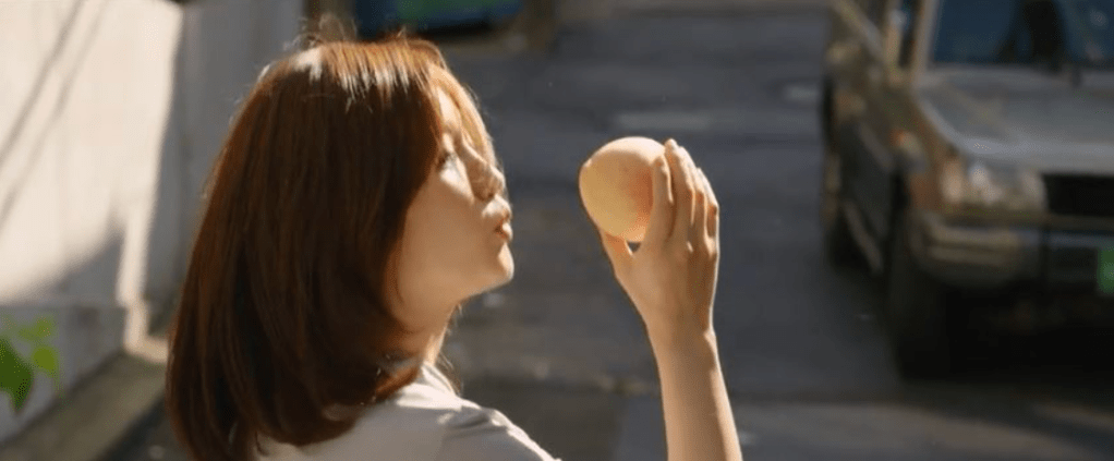 Bong Joon Ho’s Spooking: Miasma, Geometry, and Redness in Parasite