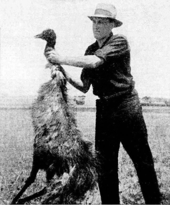 The Great Emu&nbsp;War